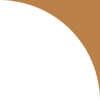 https://sfs.hubbtech.co.za/wp-content/uploads/2022/11/bg_shape_new.png